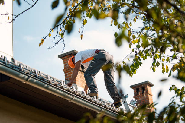 Best Sealant for Roof  in Sanborn, NY