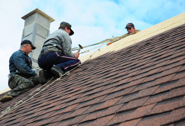 Best Shingle Roofing Installation  in Sanborn, NY